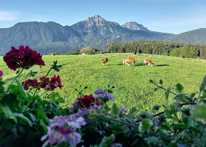 Fuchsbauernhof Piding