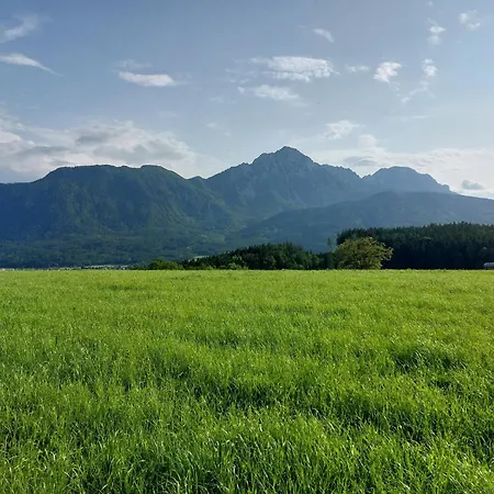Farm stay Fuchsbauernhof