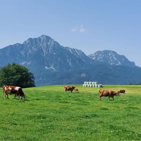 Fuchsbauernhof * פידינג