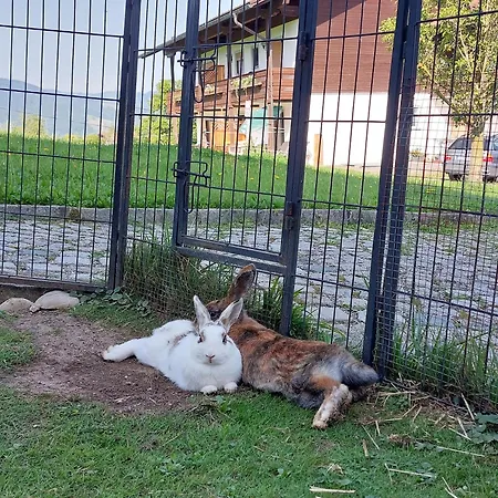 Fuchsbauernhof * Piding