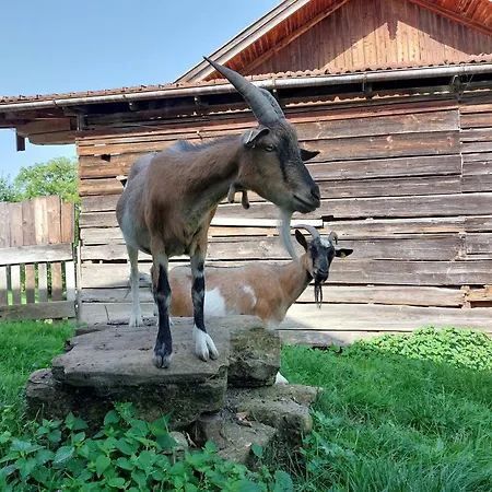 Fuchsbauernhof Farm stay *