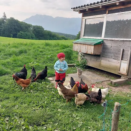 Fuchsbauernhof Farm stay *