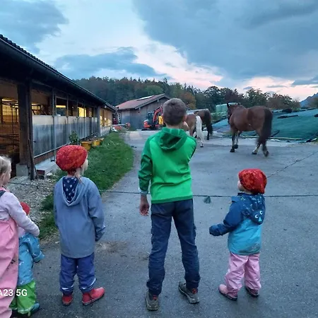 Fuchsbauernhof Farm stay *
