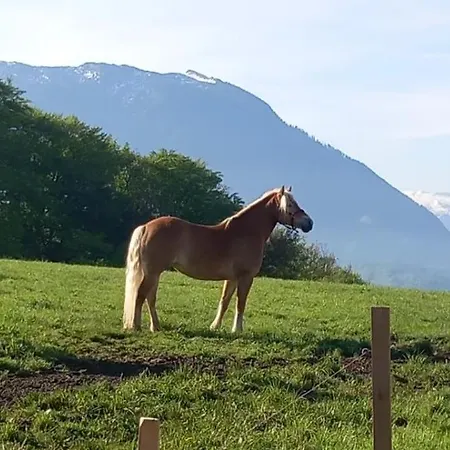 Farmház Fuchsbauernhof