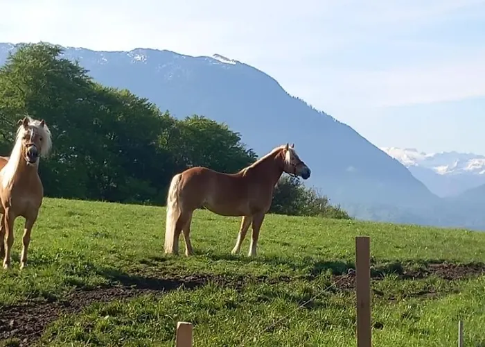 Κατάλυμα σε φάρμα Fuchsbauernhof